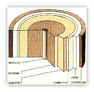 Clicca ingrandisci